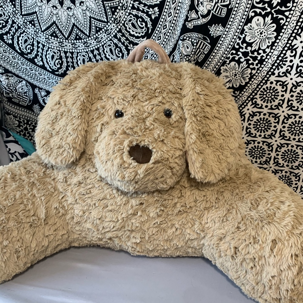 Teddy Husband Pillow